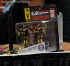 BotCon 2015: Transformers Collector's Club Roundtable Panel - Transformers Event: DSC09606a