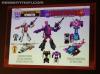 BotCon 2015: Transformers Collector's Club Roundtable Panel - Transformers Event: DSC09626